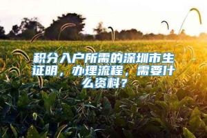 积分入户所需的深圳市生证明，办理流程，需要什么资料？