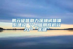 鹏元征信助力深圳诚信体系建设 个人信用成积分入户“关键”