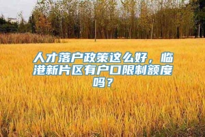 人才落户政策这么好，临港新片区有户口限制额度吗？