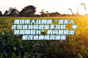 潍坊市人社局就“落实人才引进补贴政策不及时，申领周期较长”的问题做出整改进展情况通报