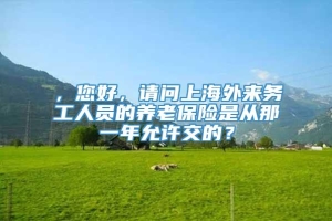 ，您好，请问上海外来务工人员的养老保险是从那一年允许交的？