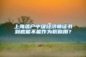 上海落户中级经济师证书到底能不能作为职称用？