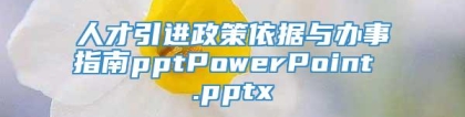 人才引进政策依据与办事指南pptPowerPoint .pptx