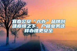 宜春公安“六办”品牌创建疫情之下，户籍业务这样办理更安全