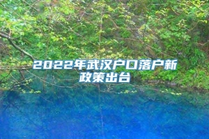 2022年武汉户口落户新政策出台