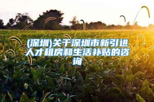 (深圳)关于深圳市新引进人才租房和生活补贴的咨询