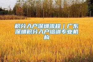 积分入户深圳流程｜广东深圳积分入户培训专业机构