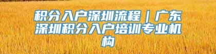 积分入户深圳流程｜广东深圳积分入户培训专业机构