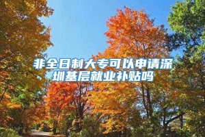 非全日制大专可以申请深圳基层就业补贴吗