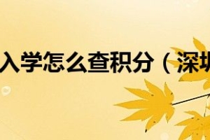 深圳市积分入学怎么查积分（深圳市积分入户查询）