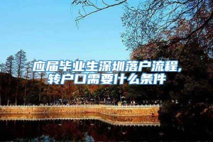 应届毕业生深圳落户流程,转户口需要什么条件