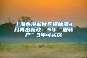 上海临港新片区揭牌满3月再出新政：5年“居转户”3年可买房