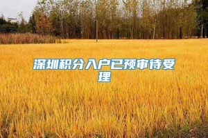 深圳积分入户已预审待受理