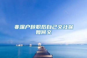 非深户辞职后自己交社保如何交