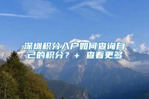 深圳积分入户如何查询自己的积分？+ 查看更多