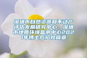 深圳市自然资源和不动产评估发展研究中心、深圳市地质环境监测中心2021年博士后招收简章