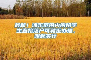 最新！浦东范围内的留学生直接落户可就近办理，明起实行→