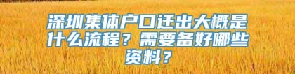 深圳集体户口迁出大概是什么流程？需要备好哪些资料？