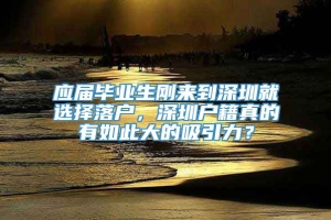 应届毕业生刚来到深圳就选择落户，深圳户籍真的有如此大的吸引力？