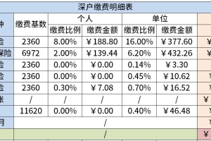 2022年深圳社保费用明细