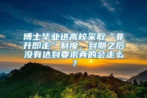 博士毕业进高校采取“非升即走”制度，到期之后没有达到要求真的会走么？