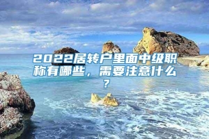 2022居转户里面中级职称有哪些，需要注意什么？