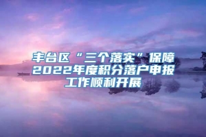 丰台区“三个落实”保障2022年度积分落户申报工作顺利开展