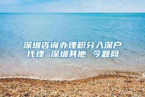 深圳咨询办理积分入深户代理 深圳其他 今题网