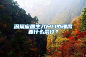 深圳应届生入户口办理需要什么条件？