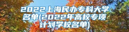 2022上海民办专科大学名单(2022年高校专项计划学校名单)