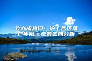 公办成热门！沪上各区落户年限、统筹去向分析