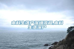 本科生落户深圳流程,本科生落深户