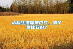 本科生落深圳户口，哪个区比较好？