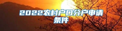 2022农村户口分户申请条件