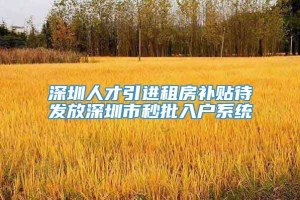 深圳人才引进租房补贴待发放深圳市秒批入户系统