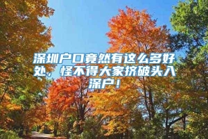 深圳户口竟然有这么多好处，怪不得大家挤破头入深户！