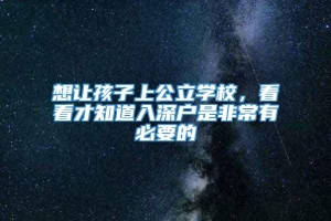 想让孩子上公立学校，看看才知道入深户是非常有必要的